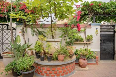 Eden Garden Villa By Jadecaps Nr Mg Road Garden Bangalore Exterior foto